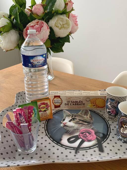 Le Cosy Avec Piscine, Balcon Et Parking Apartment Trouville-sur-Mer Luaran gambar